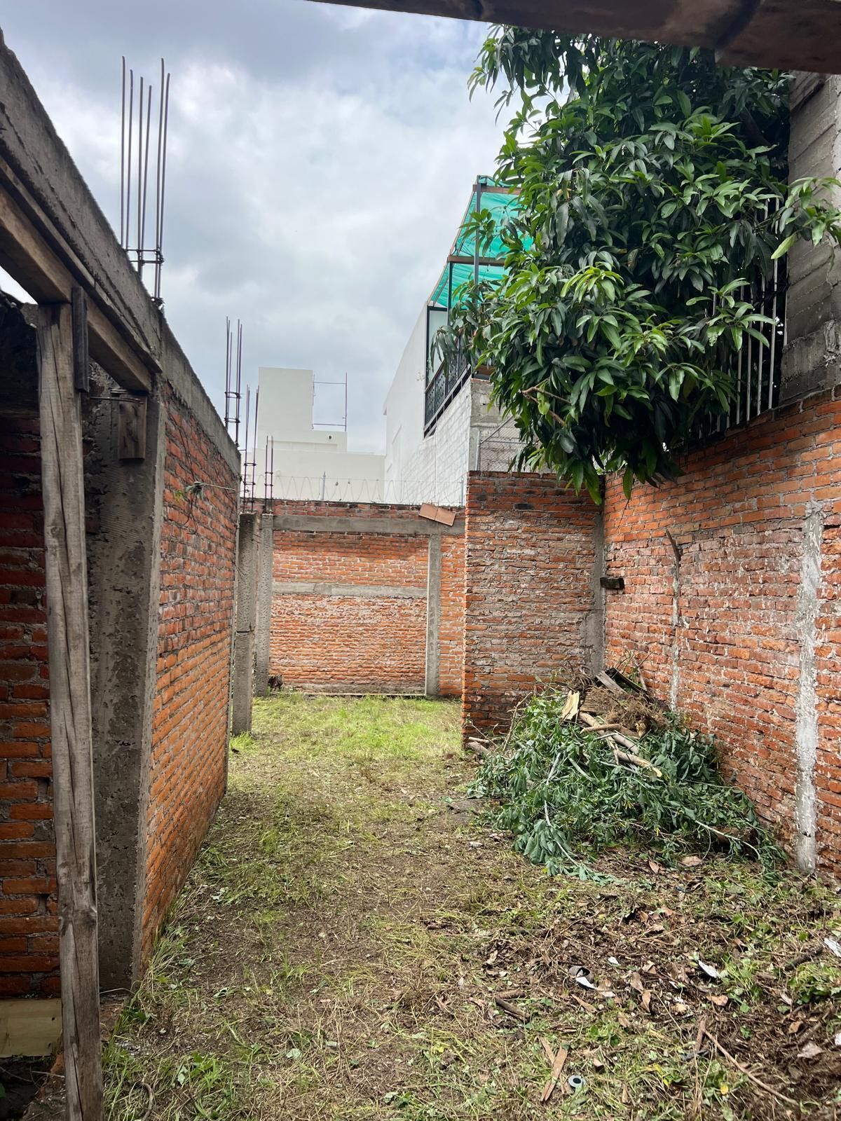 18 de 19