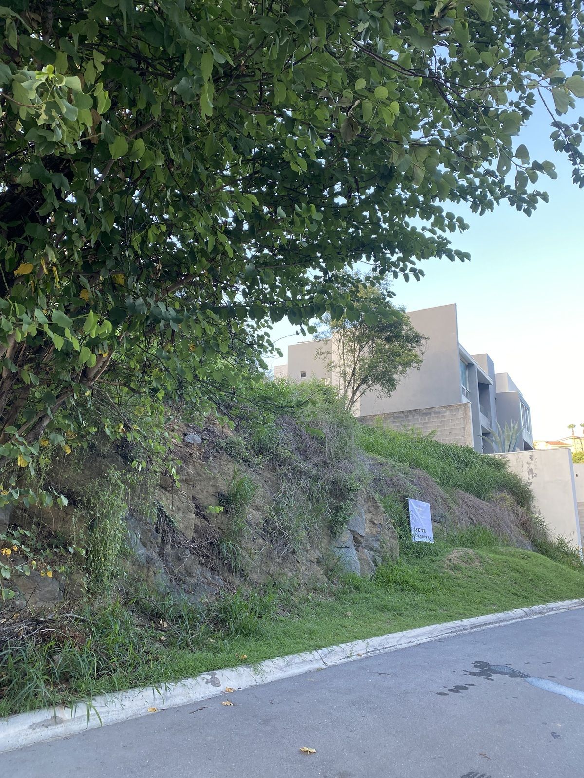 3 de 7