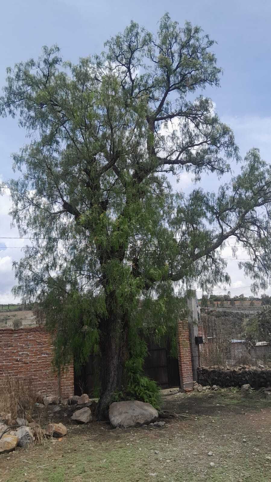 7 de 19