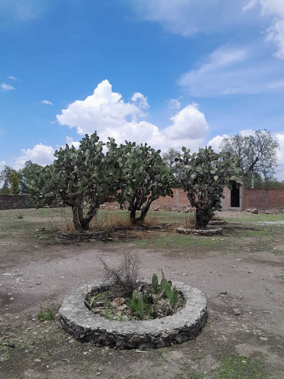 9 de 19