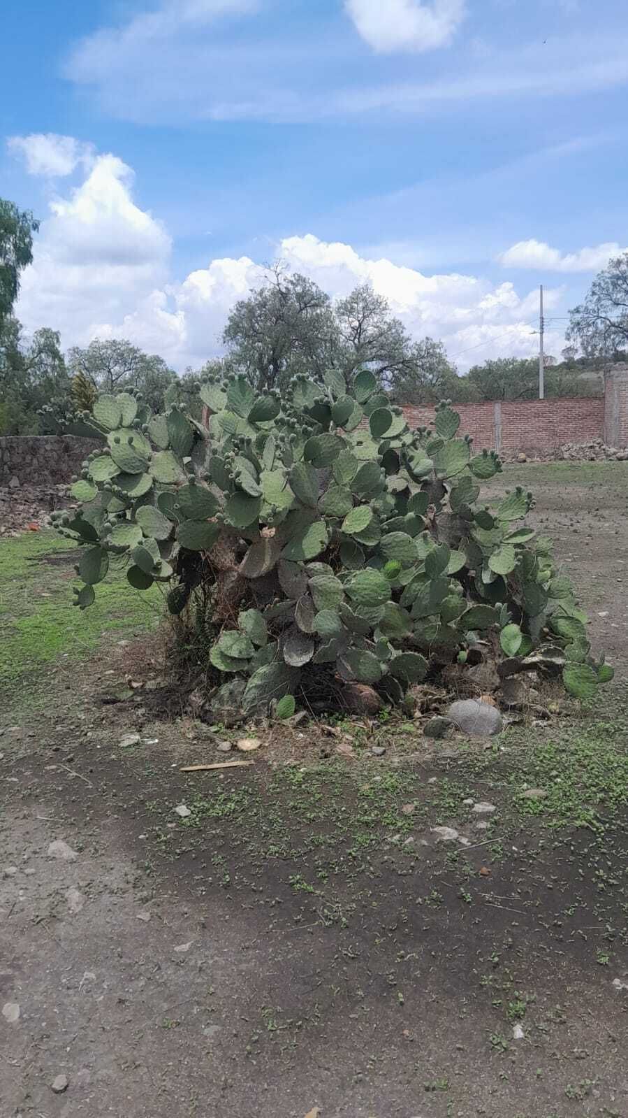 10 de 19