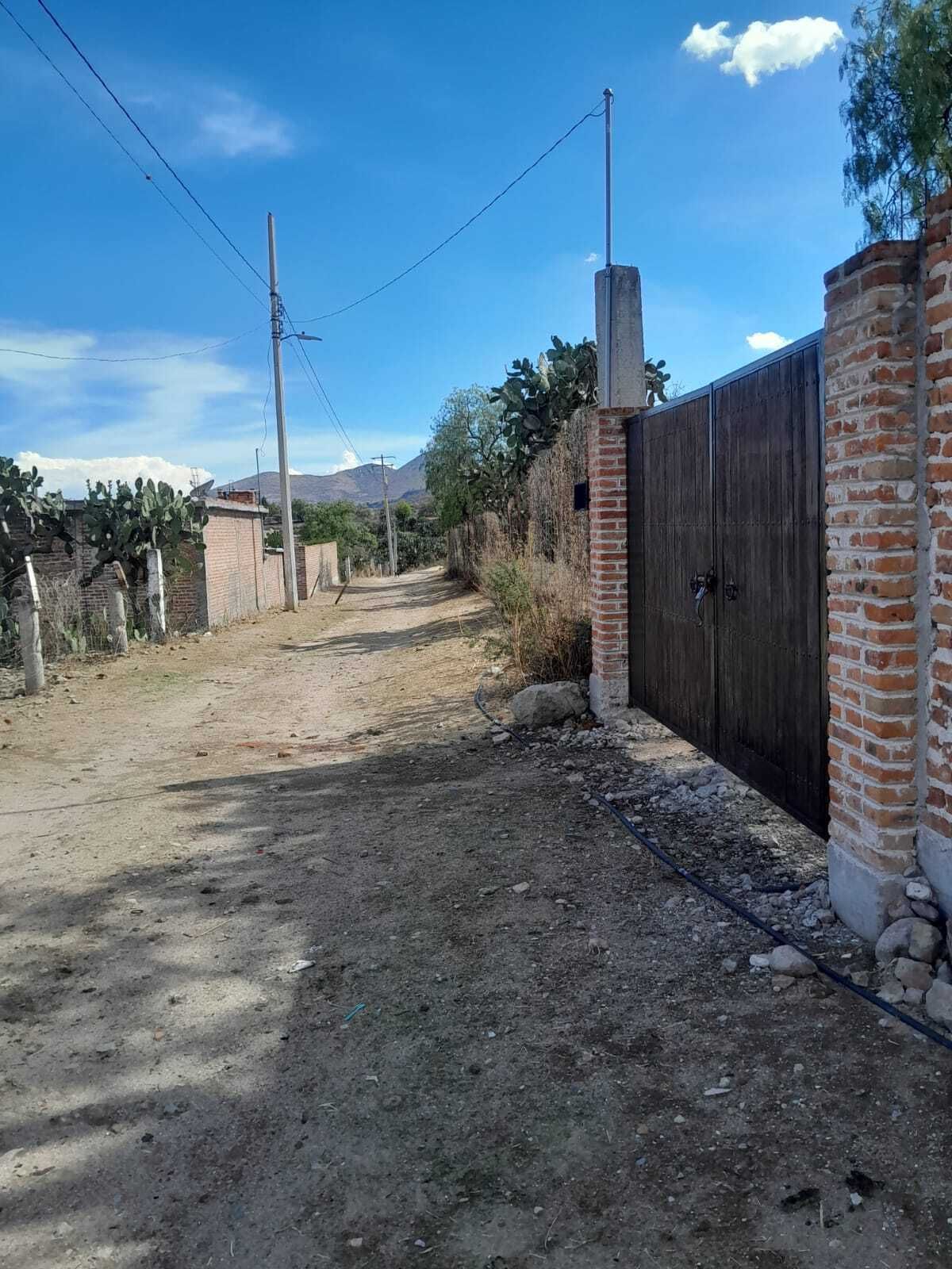 16 de 19