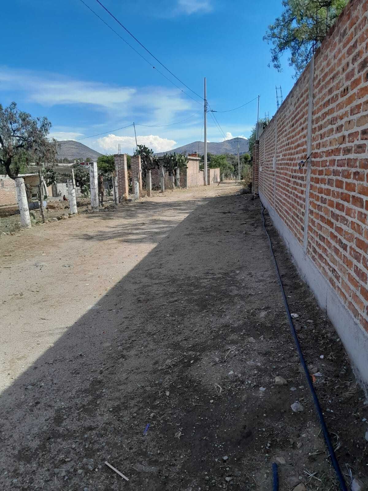17 de 19