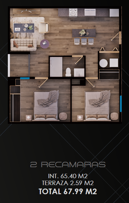 5 de 11