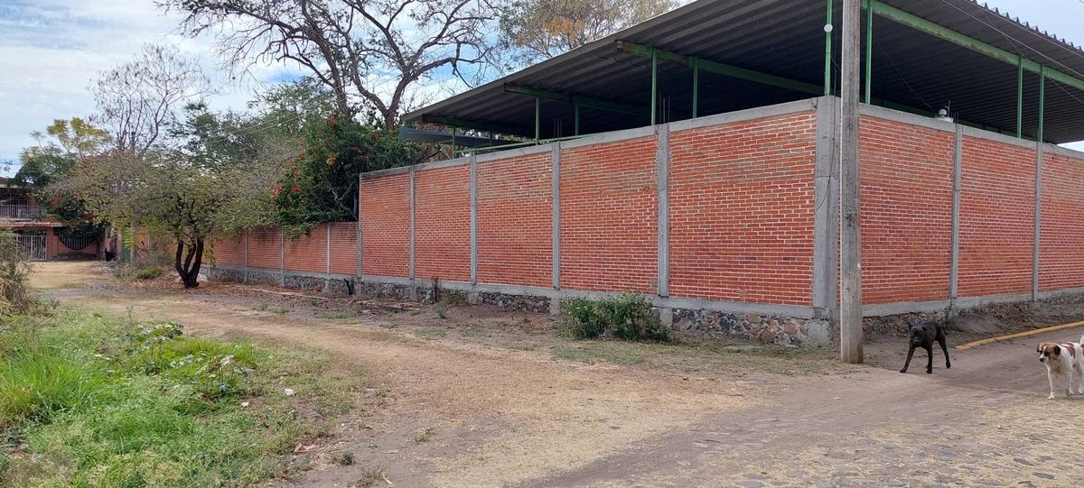 12 de 15