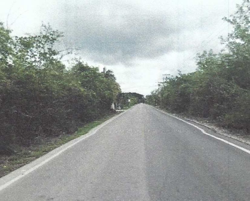 2 de 3
