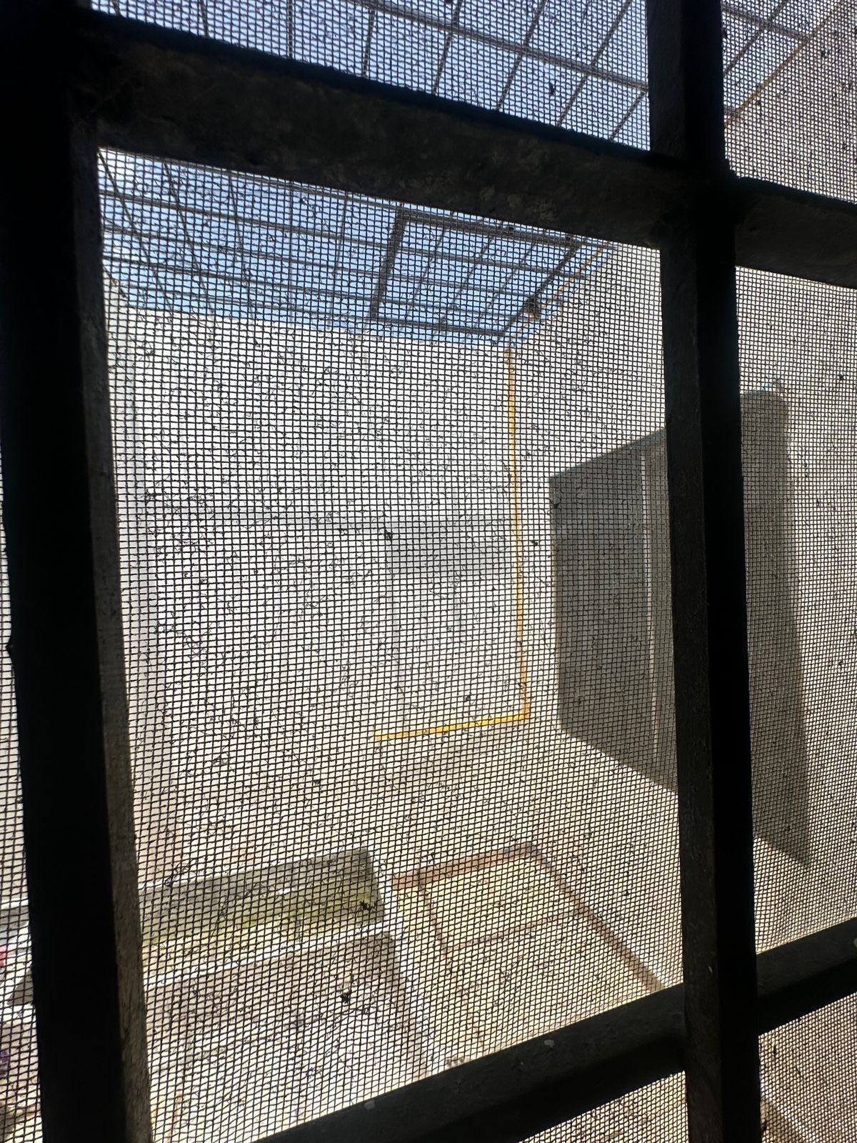 14 de 17