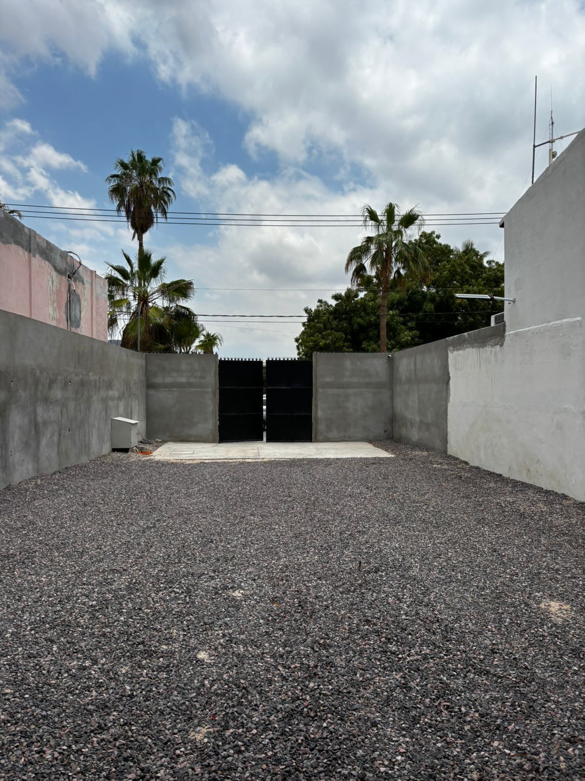3 de 6