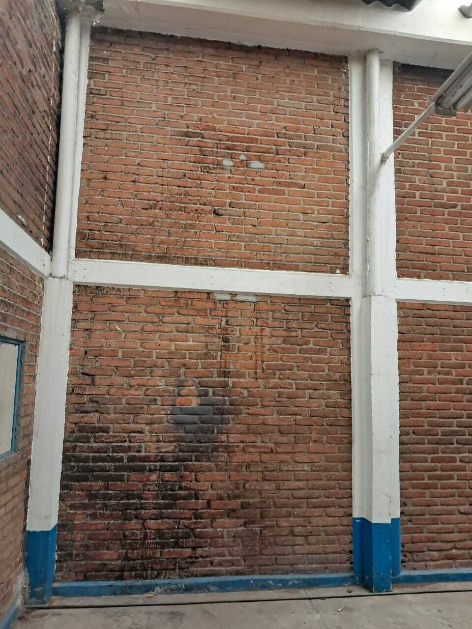 8 de 17