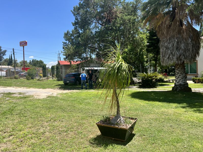 3 de 18