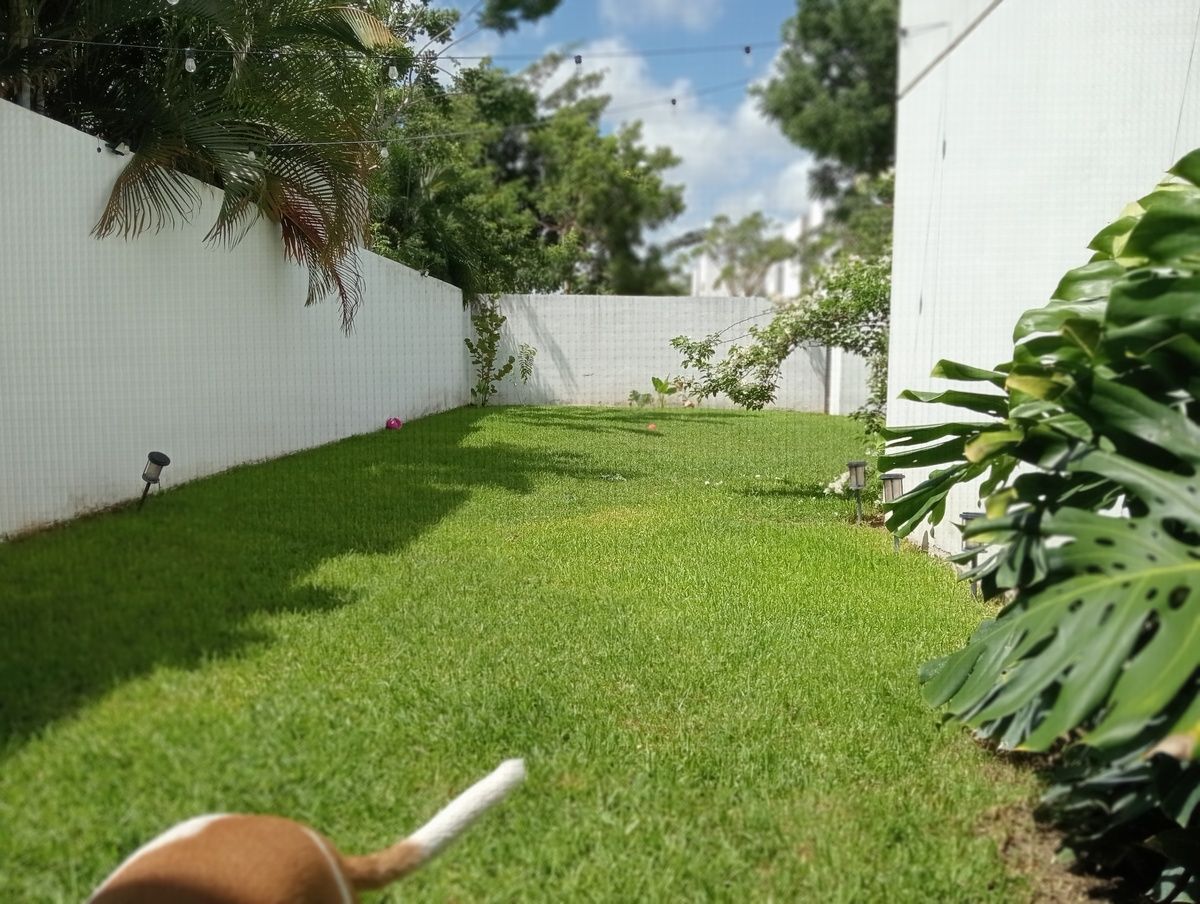10 de 18: Patio Jardín