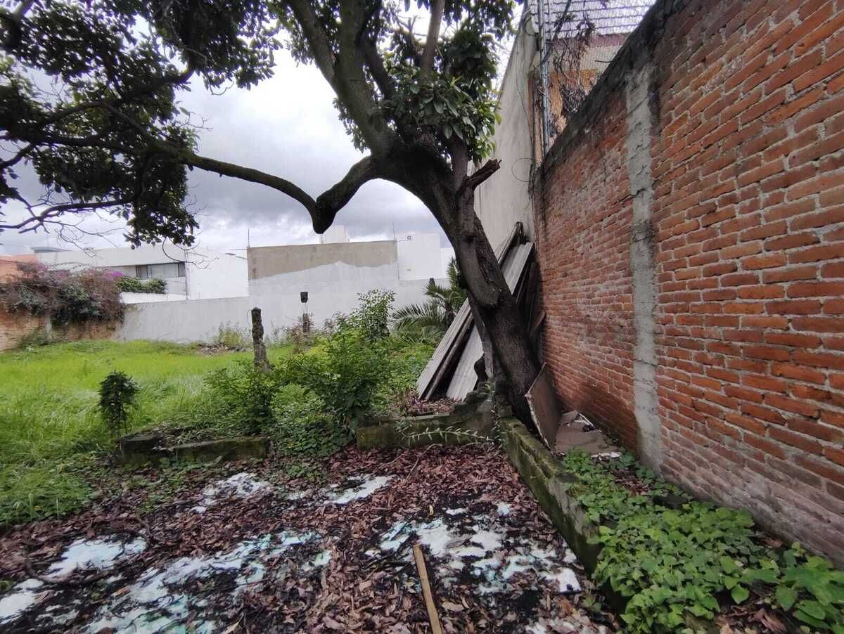2 de 25