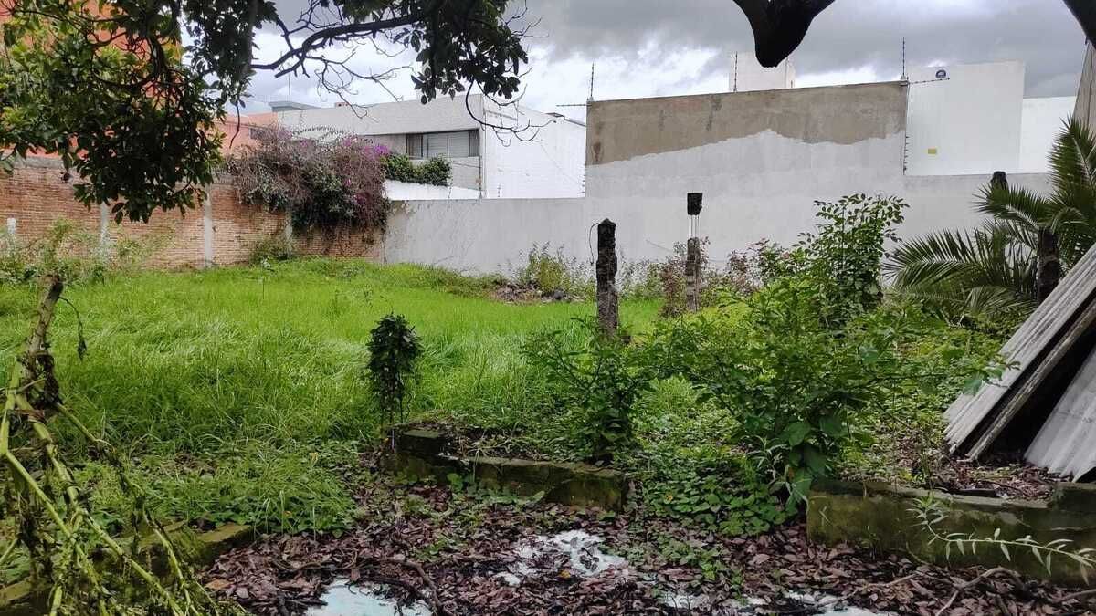 5 de 25