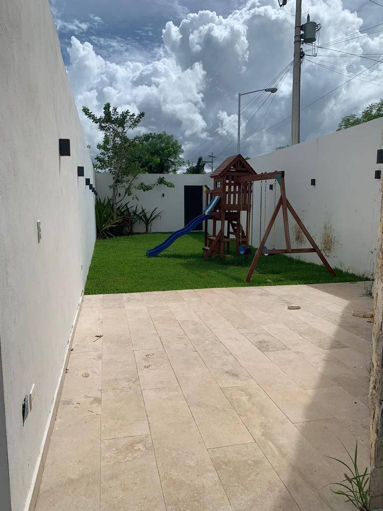 11 de 11