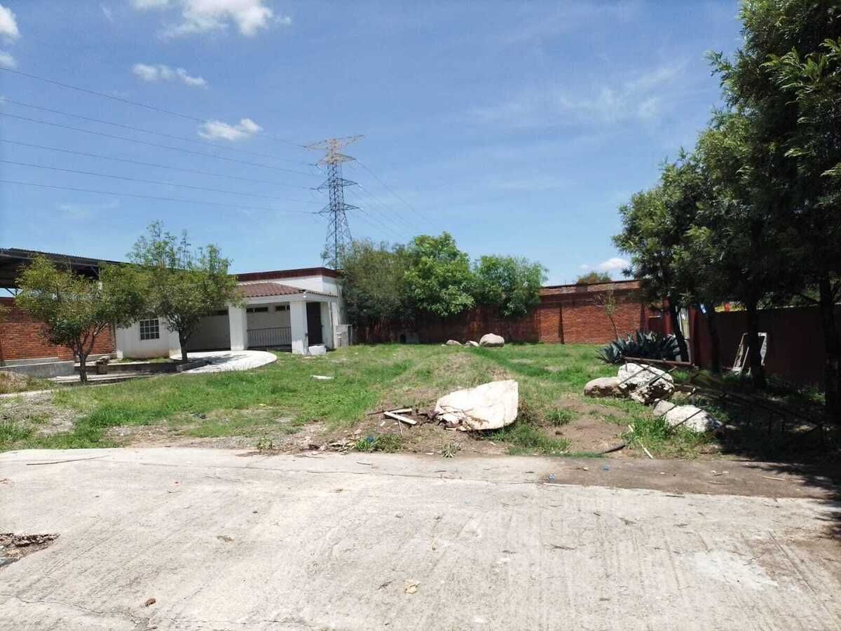 5 de 25