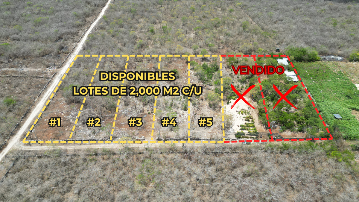 5 Terrenos en Venta en Chicxulub Pueblo. ¡Con Financiamiento