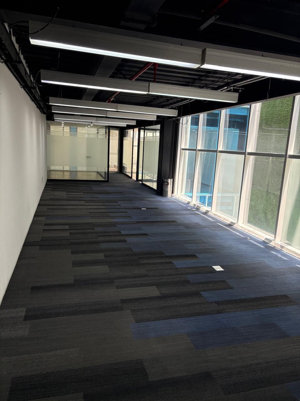 3 de 12: Area de trabajo