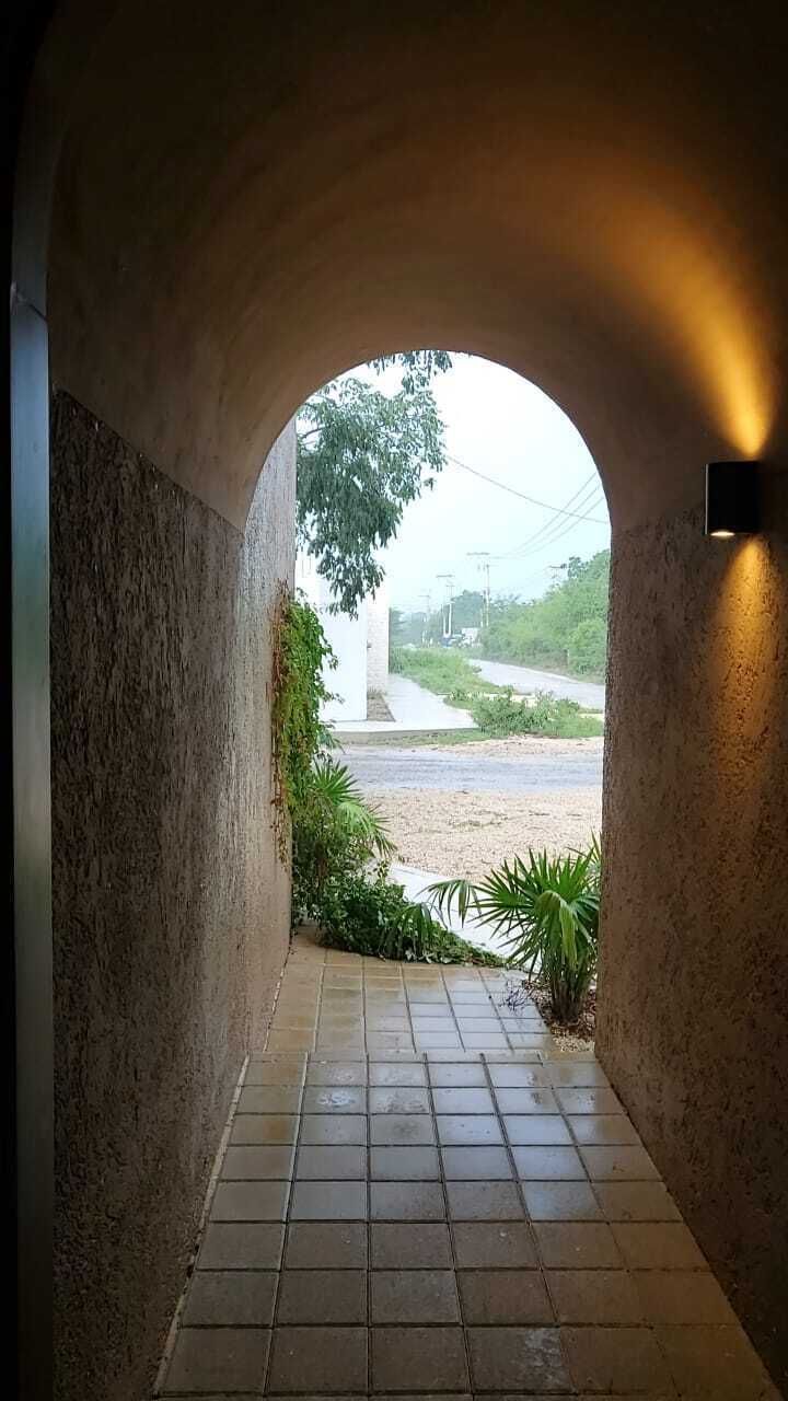 3 de 31