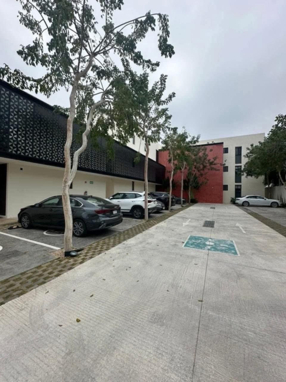 5 de 6