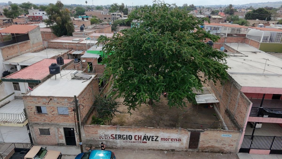 2 de 8