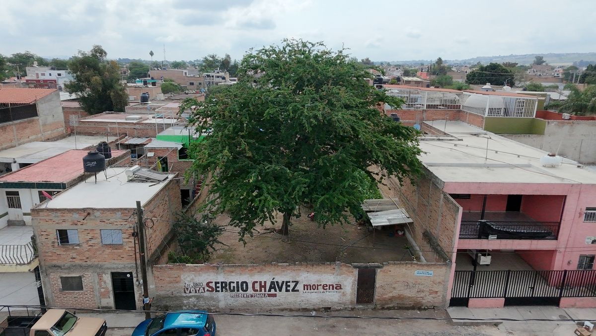 5 de 8