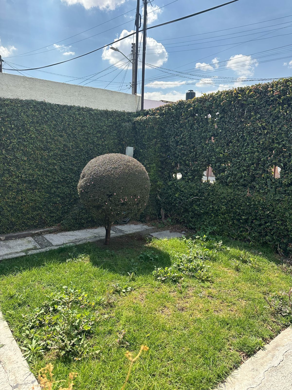 4 de 24