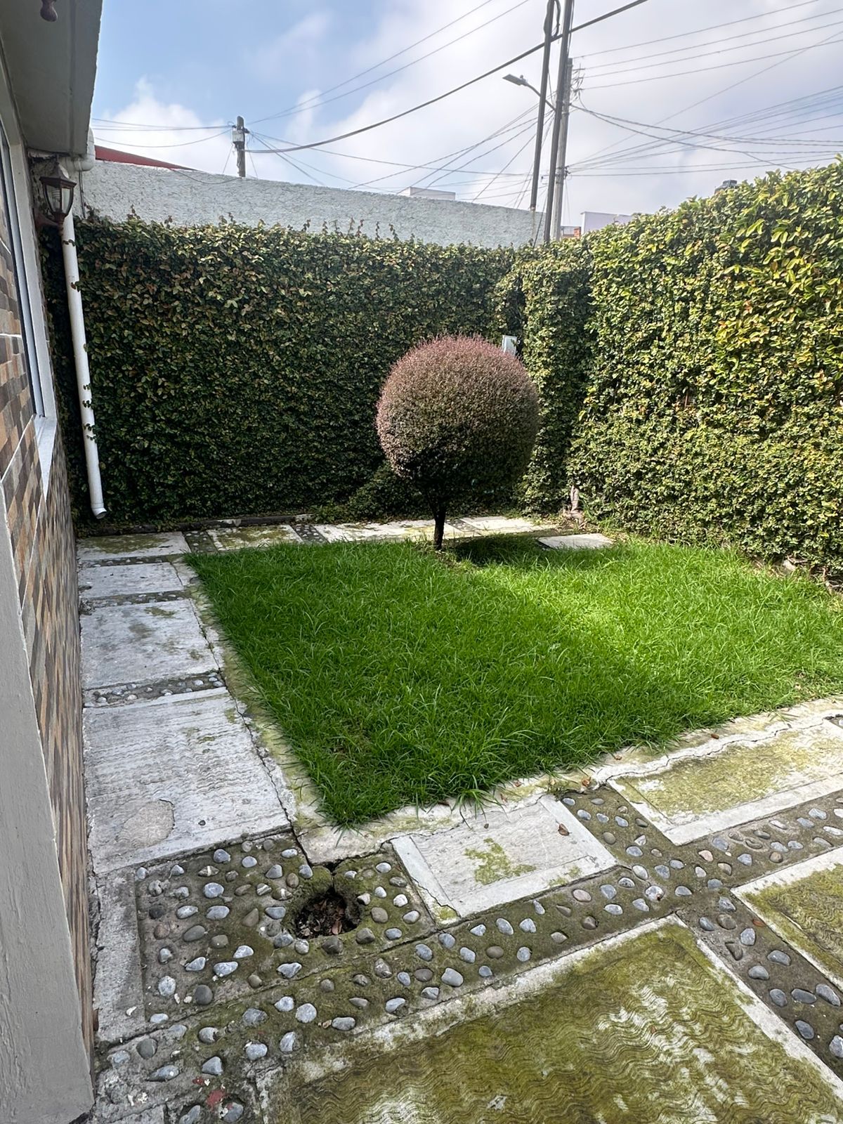 35 de 46