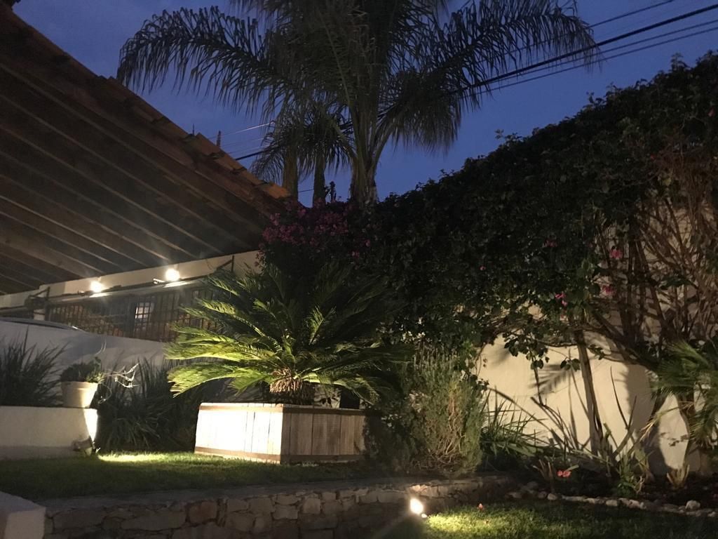 2 de 12