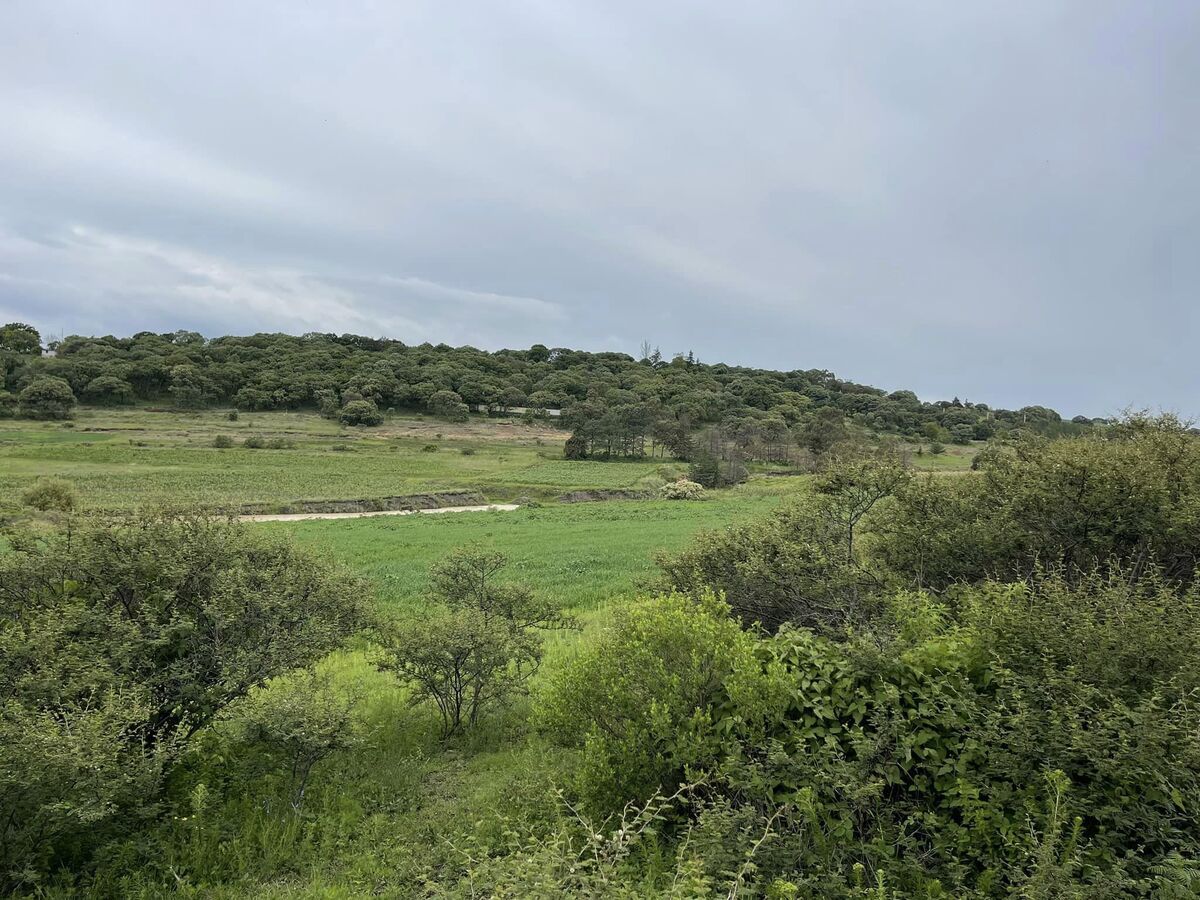 22 de 26