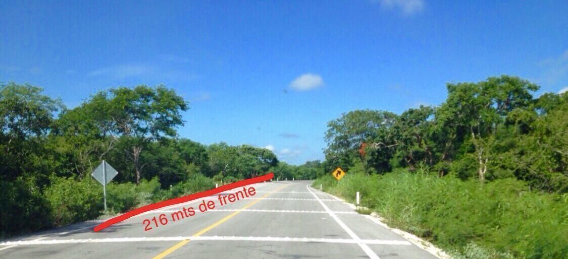 1 de 4