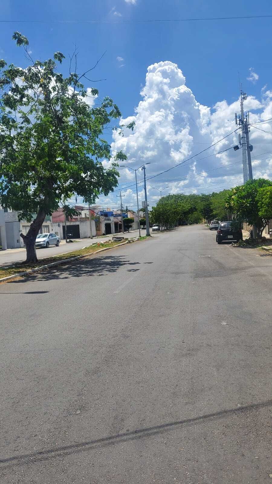 14 de 15