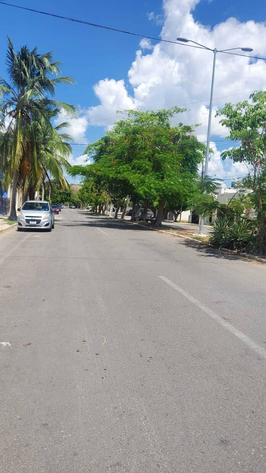 15 de 15