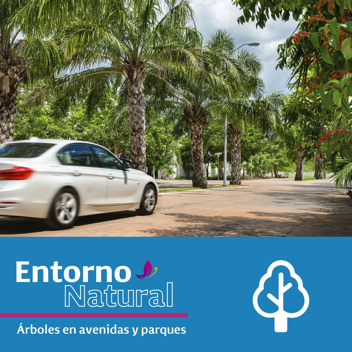 9 de 10
