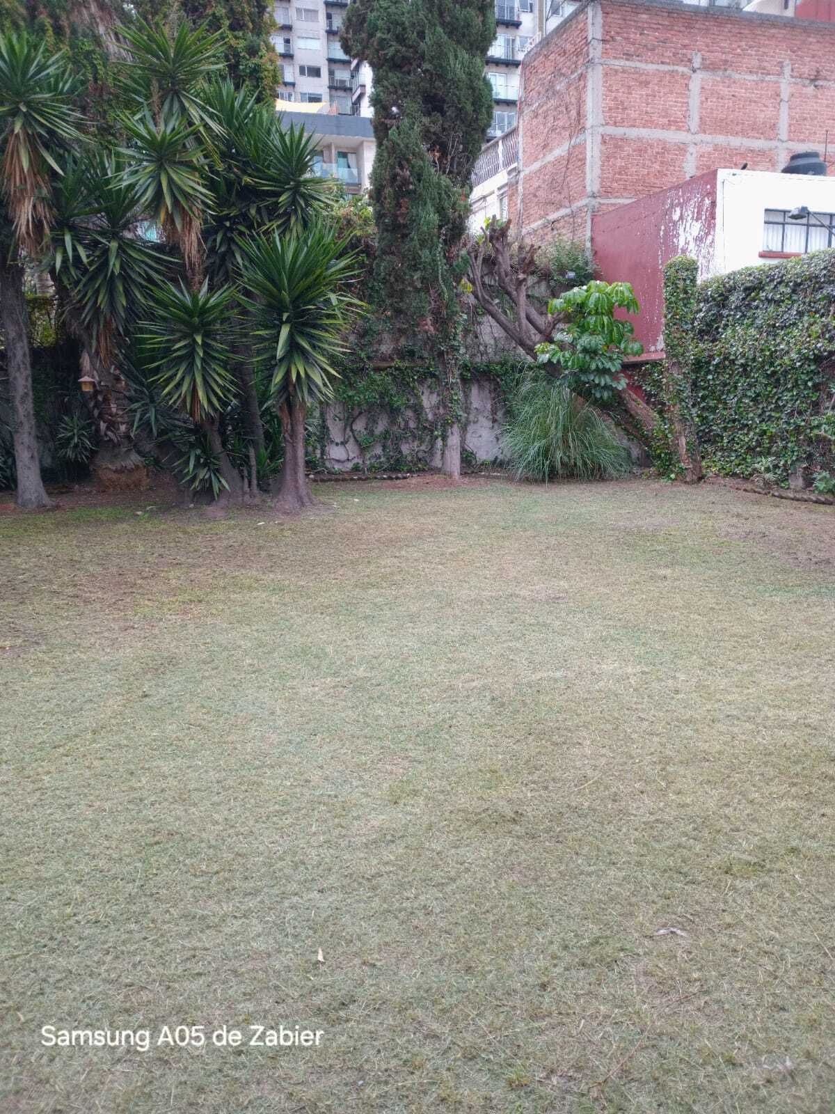 2 de 7