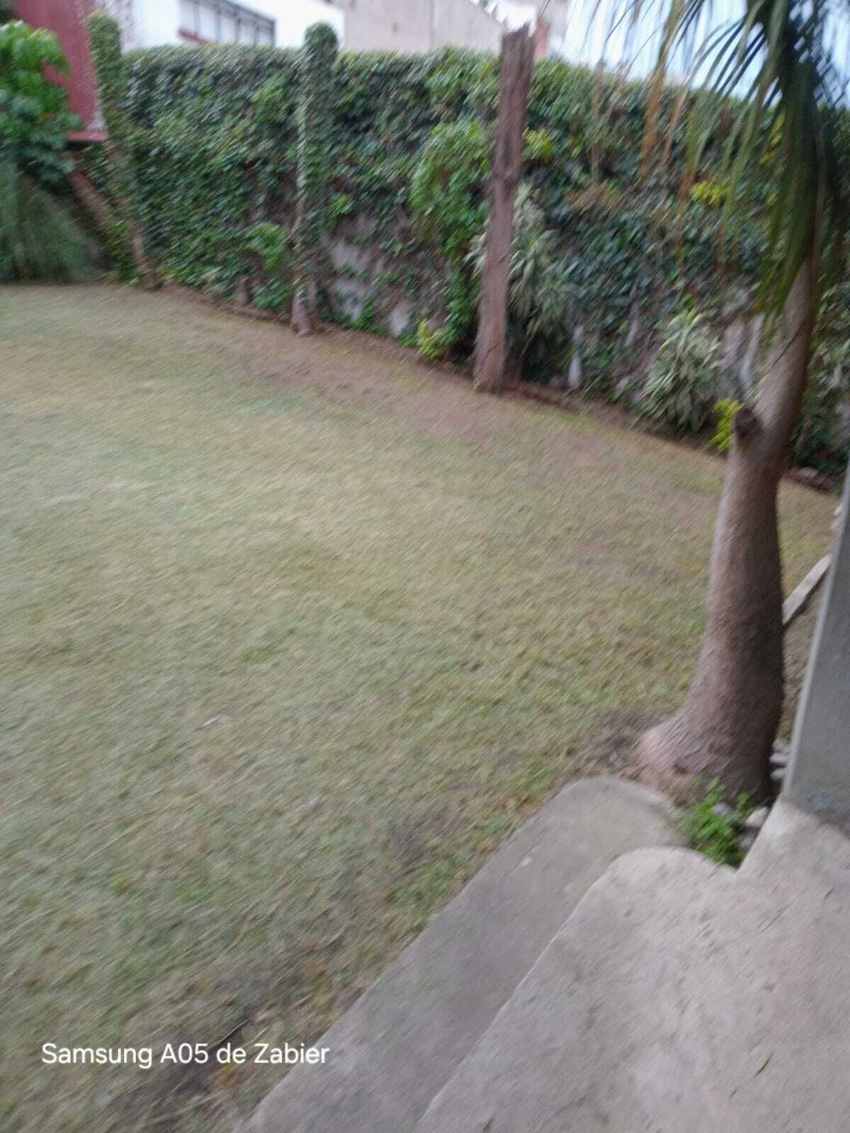 5 de 7