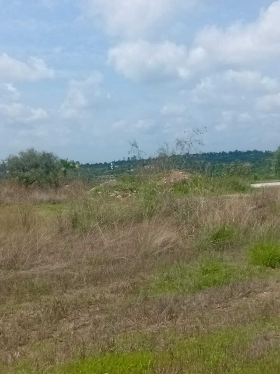 11 de 16