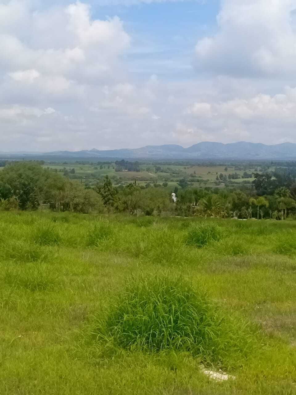 12 de 16