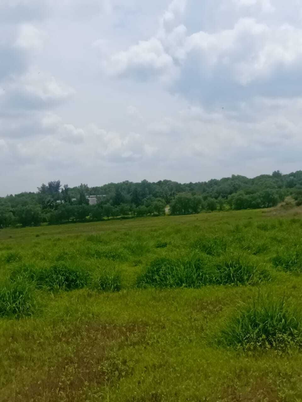 13 de 16