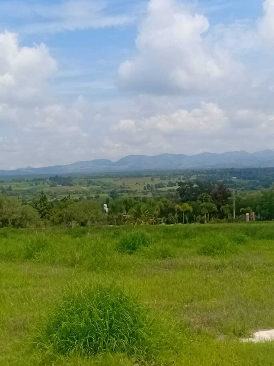 14 de 16