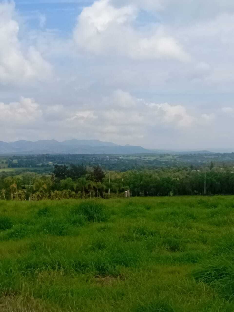 15 de 16