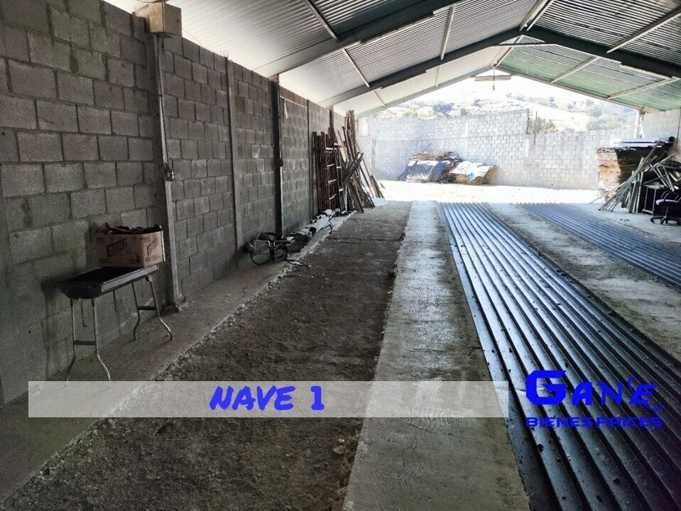 15 de 44