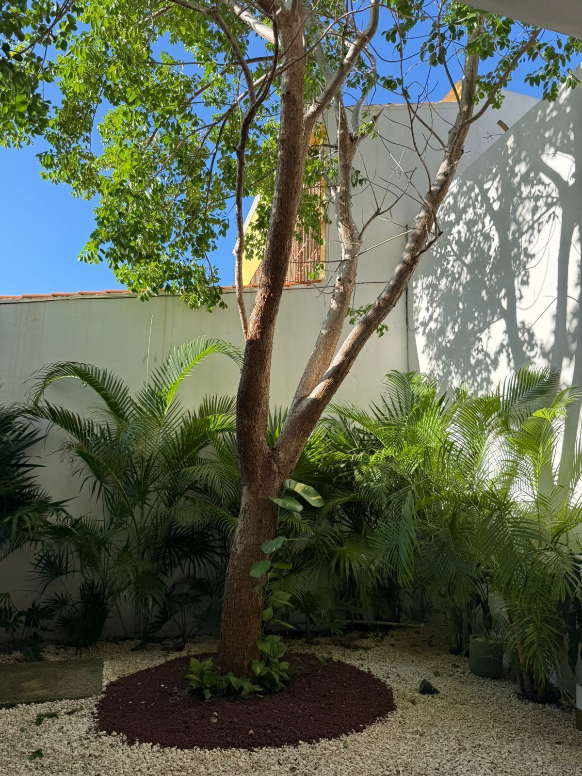 3 de 16