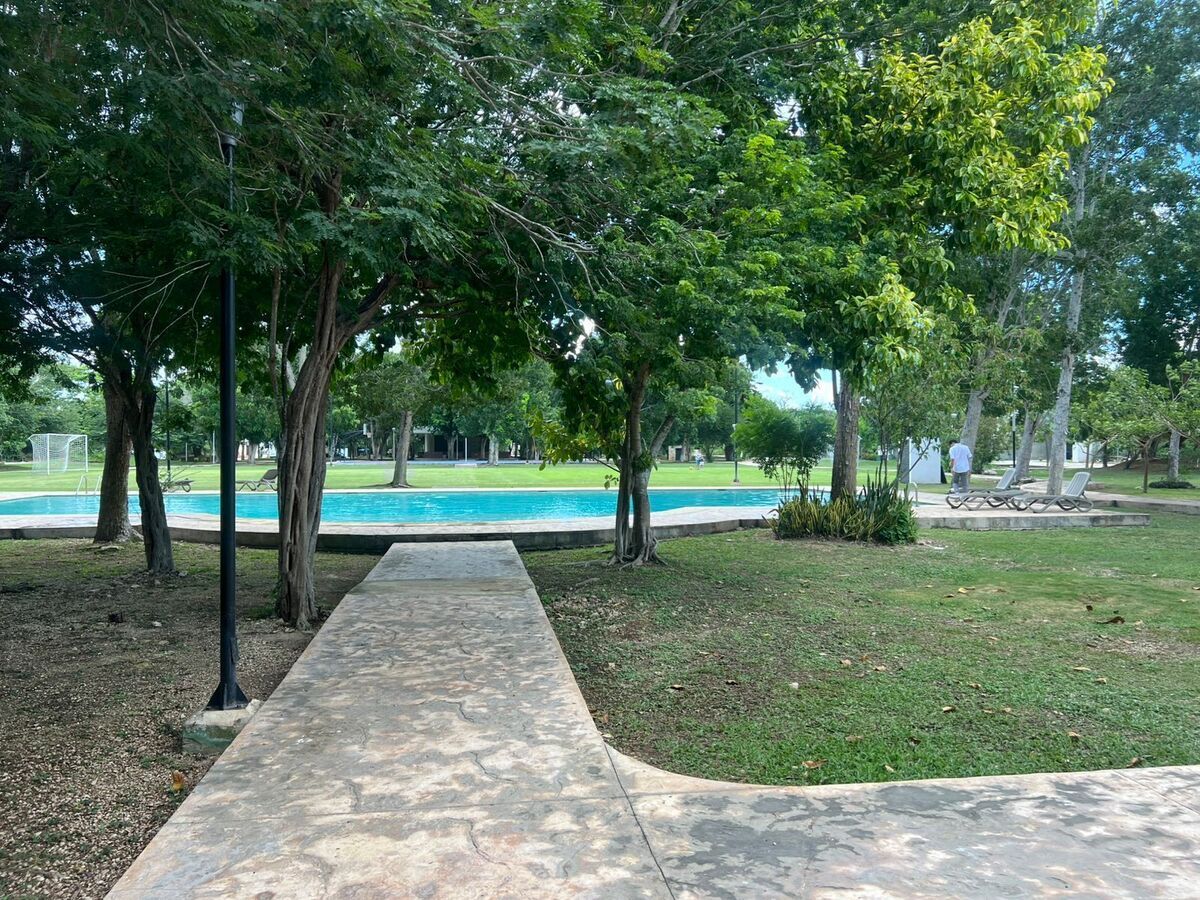 13 de 17