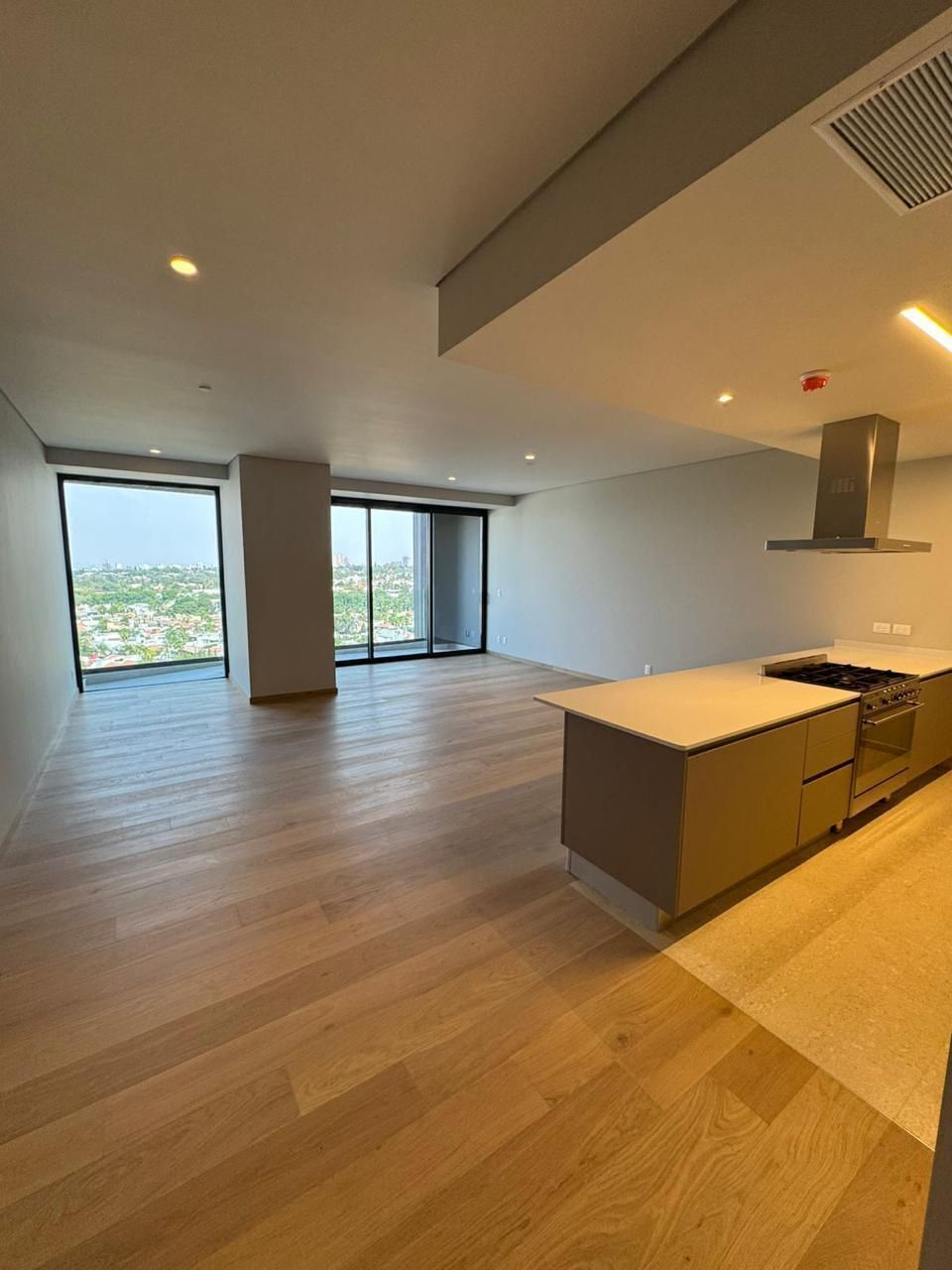 2 de 40: Departamento en Venta en Landmark Entrada