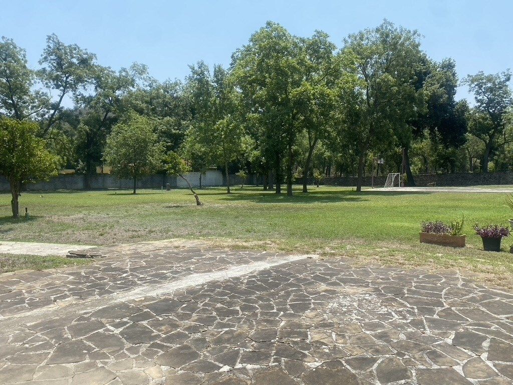 2 de 9