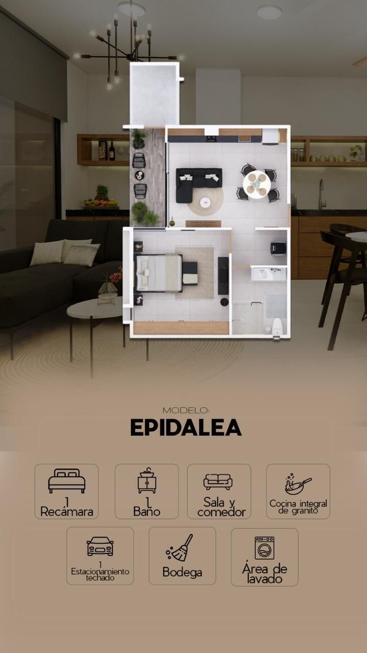 6 de 10