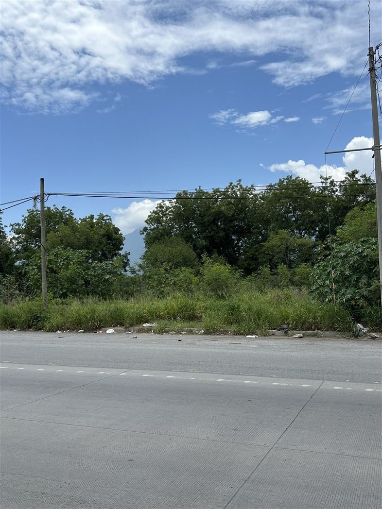 4 de 6