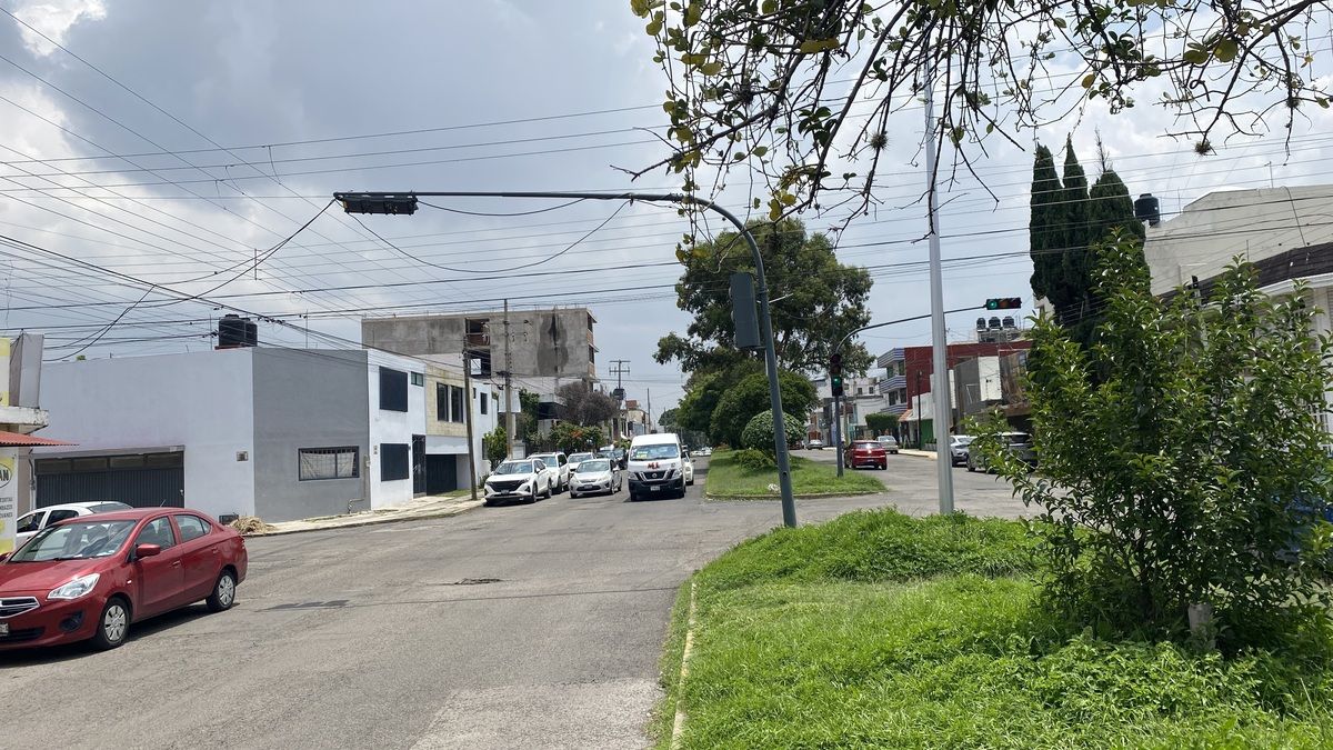 7 de 7
