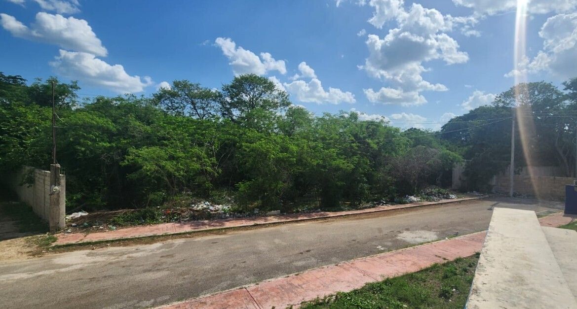 4 de 6