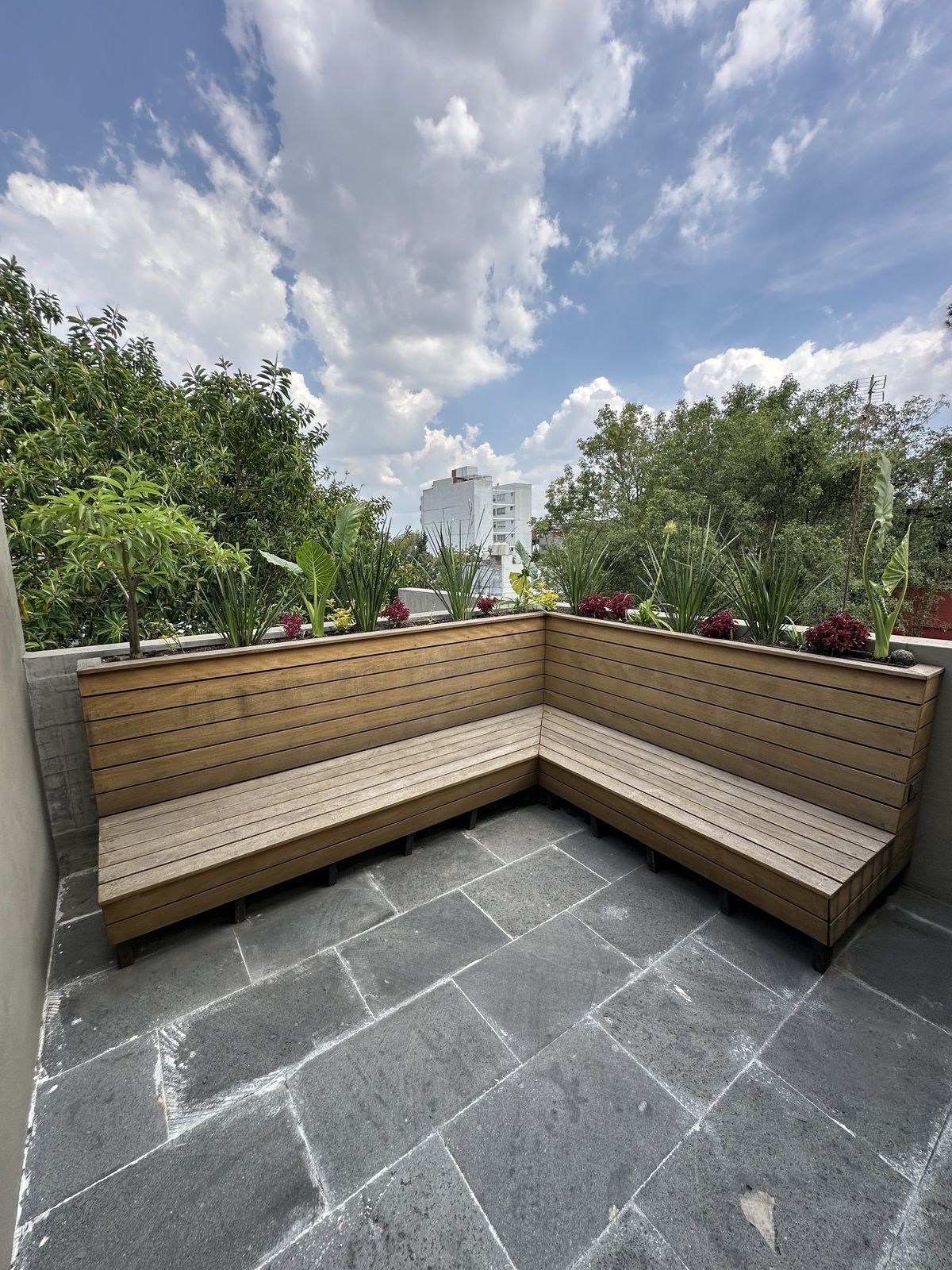 1 of 37: Terraza 1